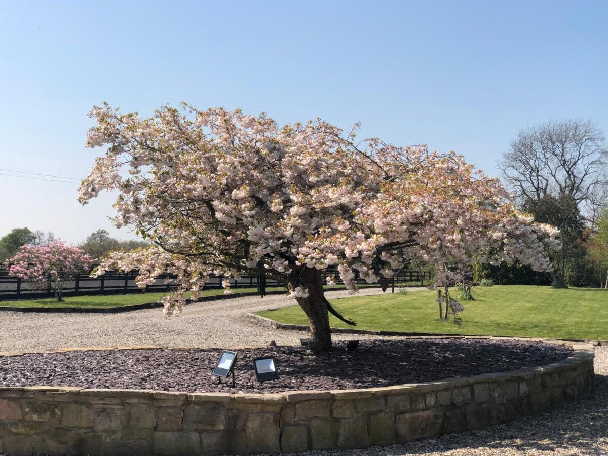 Villa The Saddlery Cheshire Congleton Esterno foto
