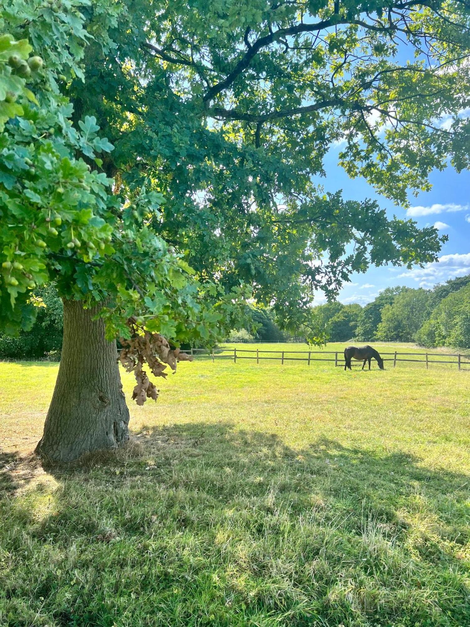 Villa The Saddlery Cheshire Congleton Esterno foto
